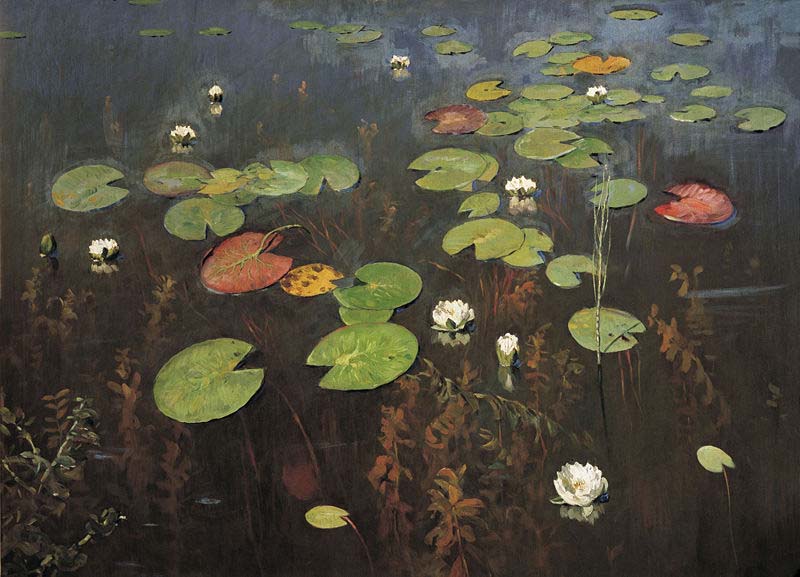 Water lilies